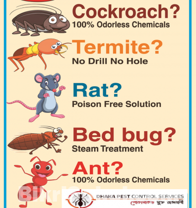 Pest Control Services Dhaka Bangladesh